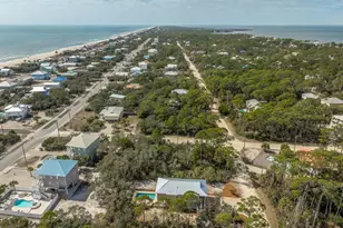 872 W Pine Ave, Saint George Island, FL 32328 - Photo 43