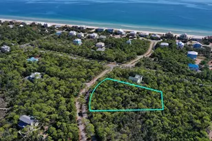 1935 Smugglers Cove Rd, Saint George Island, FL 32328 - Photo 1