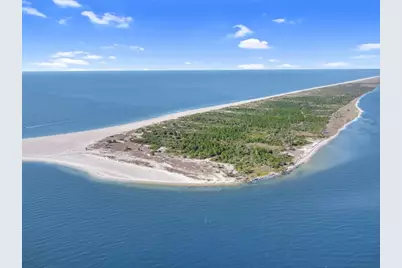 1644 Hawthorne Ln, Saint George Island, FL 32328 - Photo 23