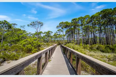 1644 Hawthorne Ln, Saint George Island, FL 32328 - Photo 21