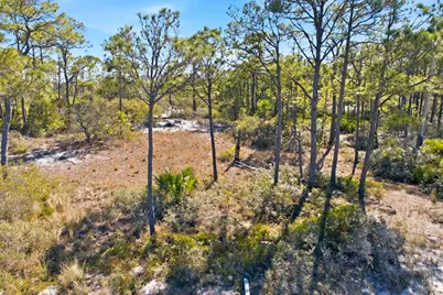 1605 E Gulf Beach Dr, Saint George Island, FL 32328 - Photo 7
