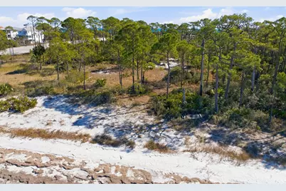 1605 E Gulf Beach Dr, Saint George Island, FL 32328 - Photo 3