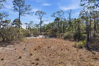 1605 E Gulf Beach Dr, Saint George Island, FL 32328 - Photo 9