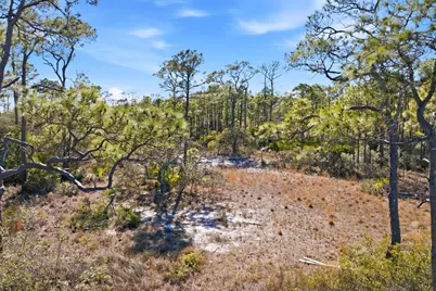 1605 E Gulf Beach Dr, Saint George Island, FL 32328 - Photo 5