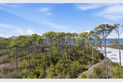 1613 E Gulf Beach Dr, Saint George Island, FL 32328 - Photo 9