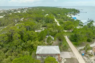 848 W Bay Shore Dr, Saint George Island, FL 32328 - Photo 39