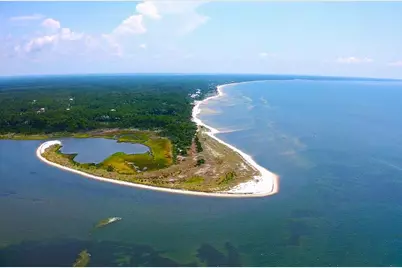 111 Winding Trail Way, Saint Teresa, FL 32358 - Photo 41