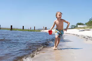 111 Winding Trail Way, Saint Teresa, FL 32358 - Photo 39