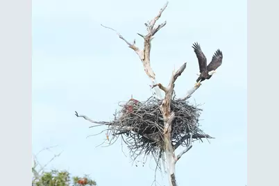 3050 Hwy 98 W #C51, Port Saint Joe, FL 32456 - Photo 25