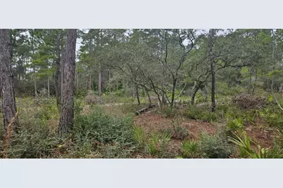 134 Timber Ln, Carrabelle, FL 32322 - Photo 3