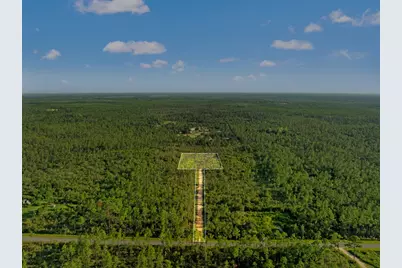 10320 Cowels Rd, Fountain, FL 32438 - Photo 7