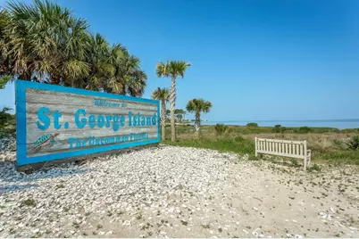 2147 Blue Heron Trl, Saint George Island, FL 32328 - Photo 71
