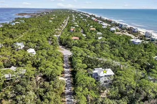 2147 Blue Heron Trail, Saint George Island, FL 32328 - Photo 57