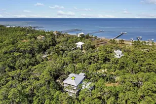 2147 Blue Heron Trail, Saint George Island, FL 32328 - Photo 59