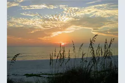 Lot 42 Buddy Floore Rd, Wewahitchka, FL 32465 - Photo 5