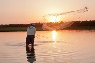 714 Oleander Ave, Mexico Beach, FL 32456 - Photo 51