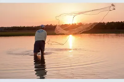 714 Oleander Ave, Mexico Beach, FL 32456 - Photo 49