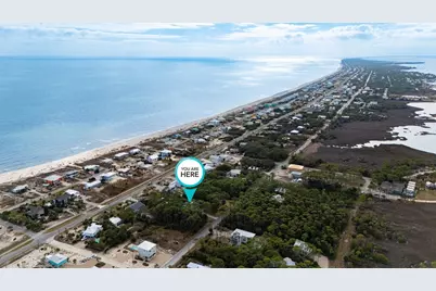 548 E Pine Ave, Saint George Island, FL 32328 - Photo 3