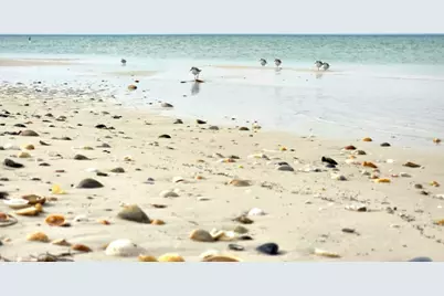 Lot 45 Mercury Ln, Port Saint Joe, FL 32456 - Photo 11