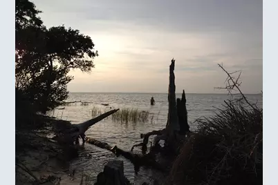 1431 Dove Ln, Saint George Island, FL 32328 - Photo 1