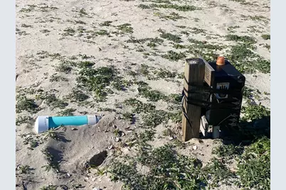 466 Pineda St, Port Saint Joe, FL 32456 - Photo 3