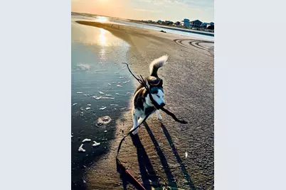 Lot 3 Curve Rd, Port Saint Joe, FL 32456 - Photo 11