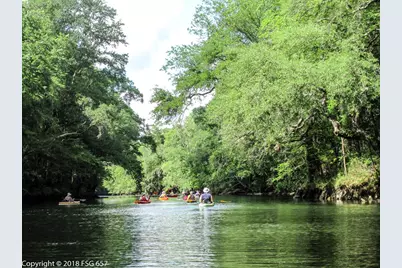 Lot 21 Chellsey St, Wewahitchka, FL 32465 - Photo 13