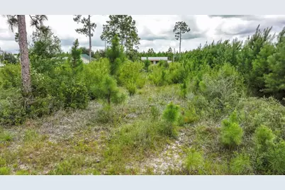 Lot 21 Chellsey St, Wewahitchka, FL 32465 - Photo 3