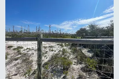 206 Bent Tree Rd, Cape San Blas, FL 32456 - Photo 5