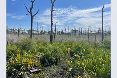 206 Bent Tree Rd, Cape San Blas, FL 32456 - Photo 13