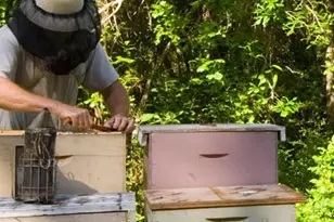 539 S 2nd St, Wewahitchka, FL 32465 - Photo 37