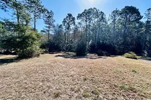 54 Hathcock Rd, Apalachicola, FL 32320 - Photo 15