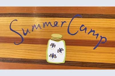 3402 Firefly Cir, Saint Teresa, FL 32358 - Photo 65