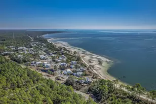 3402 Firefly Cir, Saint Teresa, FL 32358 - Photo 61