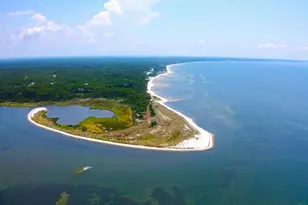 3402 Firefly Cir, Saint Teresa, FL 32358 - Photo 55