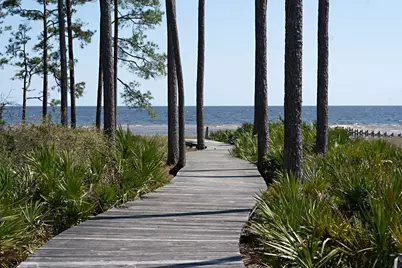 3402 Firefly Cir, Saint Teresa, FL 32358 - Photo 53