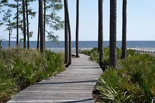 3402 Firefly Cir, Saint Teresa, FL 32358 - Photo 53