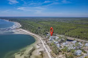 3402 Firefly Cir, Saint Teresa, FL 32358 - Photo 49