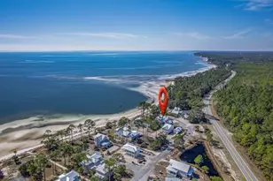 3402 Firefly Cir, Saint Teresa, FL 32358 - Photo 57