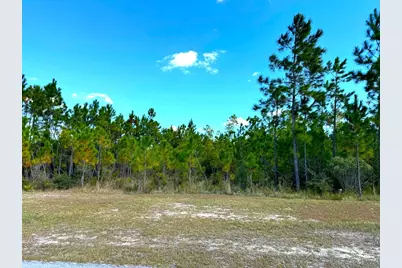 Lot 17 Wide Water Cir, Wewahitchka, FL 32465 - Photo 3