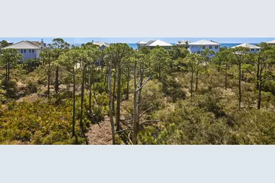 1548 Leisure Ln, Saint George Island, FL 32328 - Photo 13