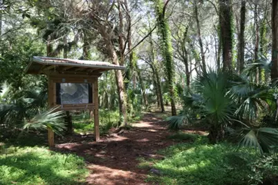 1548 Leisure Ln, Saint George Island, FL 32328 - Photo 23