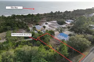 1755 Carrabelle Beach Dr, Carrabelle, FL 32322 - Photo 1