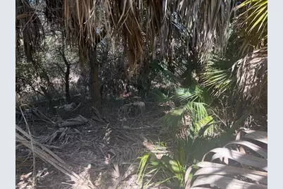 1755 Carrabelle Beach Dr, Carrabelle, FL 32322 - Photo 3