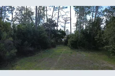 Tbd Monica Dr, Port Saint Joe, FL 32456 - Photo 3