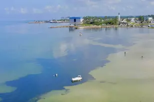 1007 Palm Blvd, Port Saint Joe, FL 32456 - Photo 35