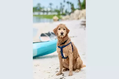 1007 Palm Blvd, Port Saint Joe, FL 32456 - Photo 37