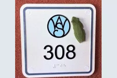 329 Water St #308, Apalachicola, FL 32320 - Photo 5