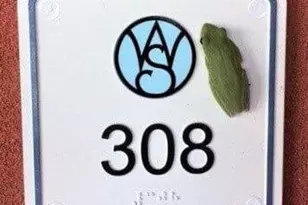 329 Water St, Apalachicola, FL 32320 - Photo 5