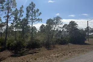 339 Blue Heron Dr, Eastpoint, FL 32328 - Photo 1